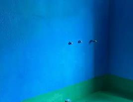 依安卫生间测漏水多少钱